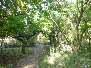 Entsiegelt und naturnah gestaltet. Weg auf der Allmende. - Copyright des Fotos: Silvia Sass